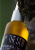 The Dew Olive Oil Face Oil